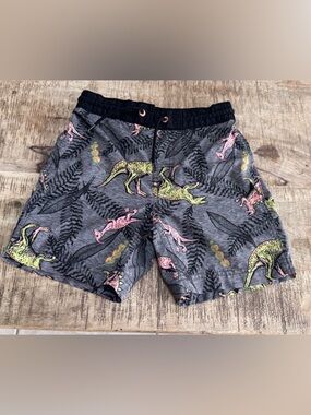 Old Navy Gray Kids Swim Trunks with Neon Dinosaur Print